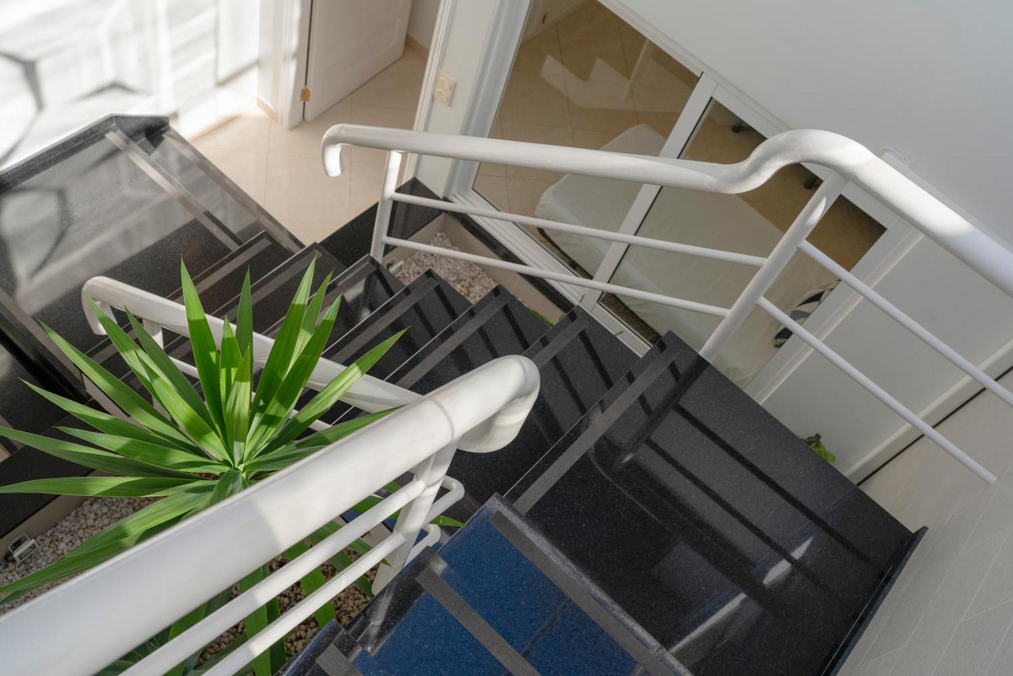 Splendor Apartament